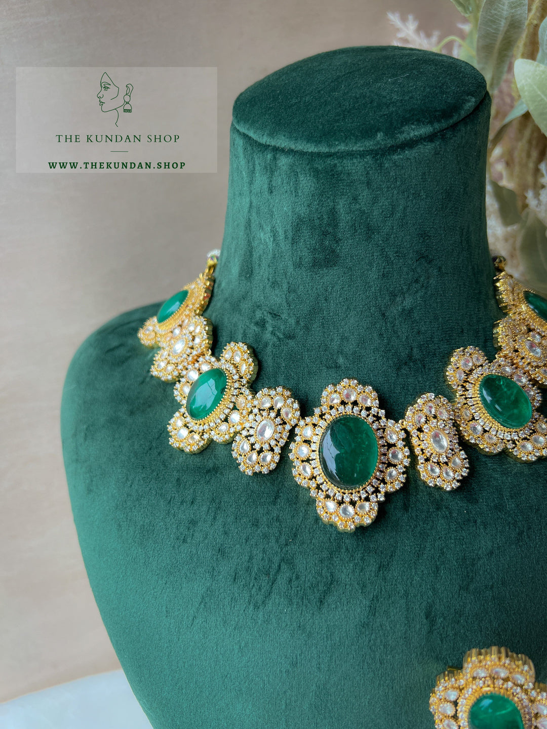 Acclaimed in Green