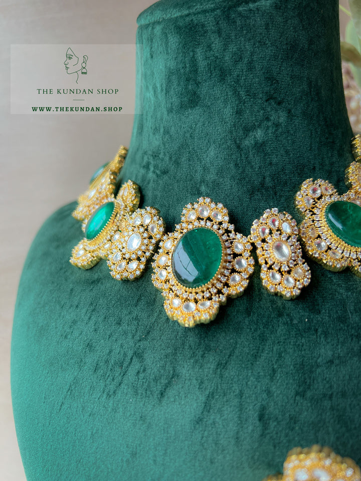 Acclaimed in Green